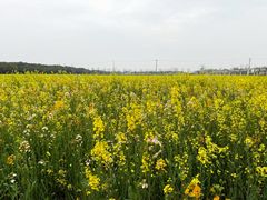 -嘉北郊野公园