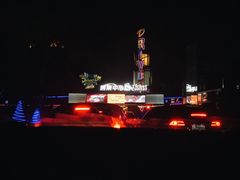 -枫花园汽车电影院(朝阳公园店)