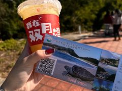 -广东惠东海龟国家级自然保护区