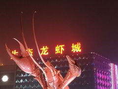 -味道工厂楚虾王(龙虾城店)