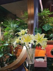 -花隐·美芙炫海菲秀皮肤管理中心