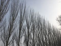 景点-红光山景区