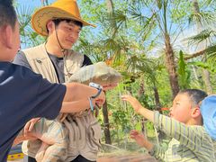 -合肥滨湖国家森林公园