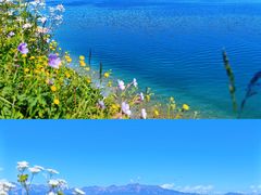 -赛里木湖风景名胜区