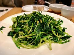 马兰头-丁老爷子苏香圆