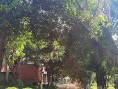 -厦门大学(思明校区)