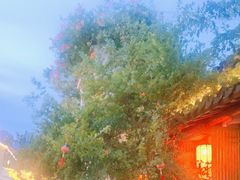 -鲤院·新中式美学·庭院餐厅(夫子庙店)