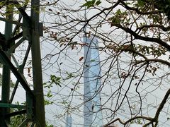 -吉隆坡雀鸟公园