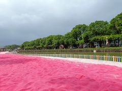 -苏州太湖西山岛开心农场