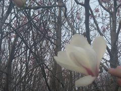 -汉长安城未央宫国家考古遗址公园