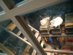 -猫咪博物馆(顶澳仔猫街店)