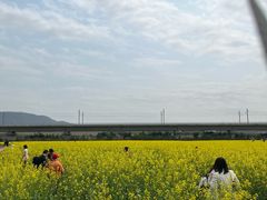 -光明小镇欢乐田园