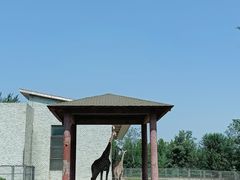 -石家庄市动物园