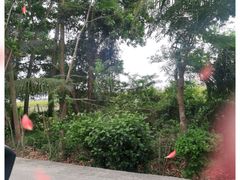 -海南热带雨林国家公园吊罗山景区