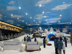 -世界之窗阿尔卑斯冰雪世界