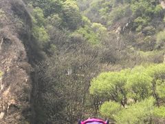 -大岭沟猕猴桃谷风景区