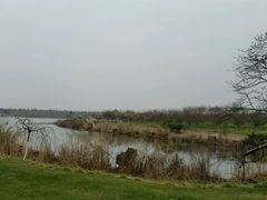 河塘-上海海湾国家森林公园