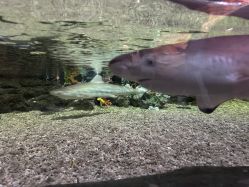 -Zoolung Zoolung动物主题公园(海信广场店)