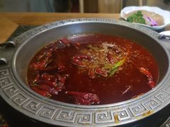 -杨肥肠火锅大排档(火车站花园店)