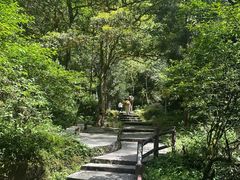 -西岭雪山大飞水景区