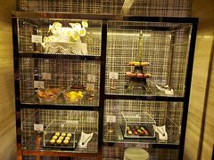 -深圳四季酒店·馥自助餐厅