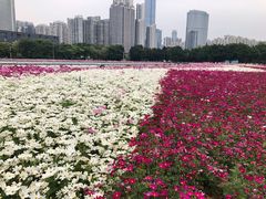 -海心沙亚运公园