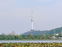 -月湖风景区