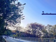 -南京市江宁方山