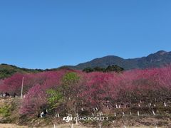 -福清灵石山国家森林公园