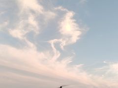 -上海月湖雕塑公园