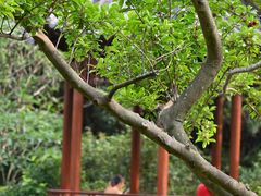 -云溪植物园
