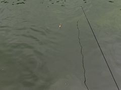 -DGE季风钓虾营地·团建·聚会