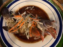 -茉莉.Red Crab