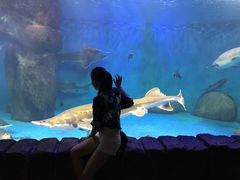 -多彩贵州城极地海洋世界