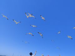 -三仙山风景区-蓬莱仙岛