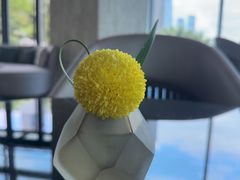-希尔顿南海酒店·观廊大堂吧·海景下午茶
