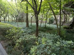 -成都杜甫草堂博物馆