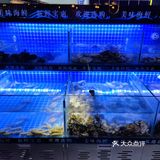 郑州美食/人均70的海鲜自助/星海汇