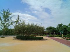 -西安浐灞国家湿地公园