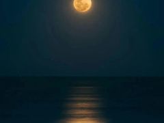 -观海轩餐厅(一线海景店)