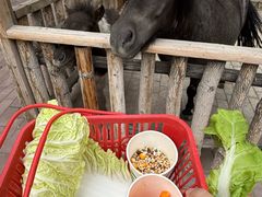 -水上乐园·欢乐世界