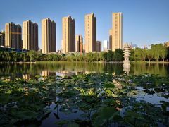 -木塔寺遗址生态公园