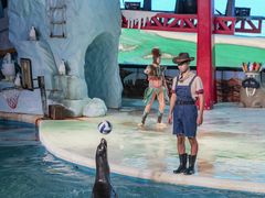 -三亚海昌梦幻海洋不夜城