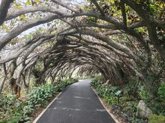 -广西壮族自治区药用植物园