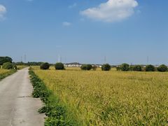 -太阳岛度假酒店