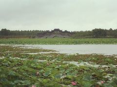 iphone_upload_pic-上海海湾国家森林公园