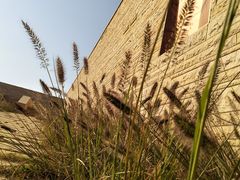 -盘龙城国家考古遗址公园