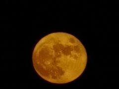 -陳八两面家(滨江天街店)