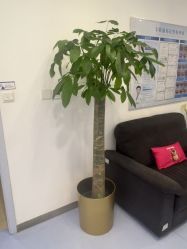 -丰联丽格医疗美容·联合丽格眼整形中心