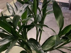 -禧瑞 ·丝浴主题·水疗·spa(中山公园店)